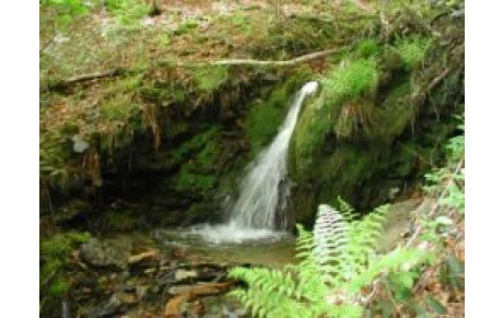 Les résultats du week-end